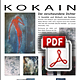 PDF Downloadsymbol Ausstellungs-Info Kokain